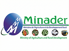 MINADER